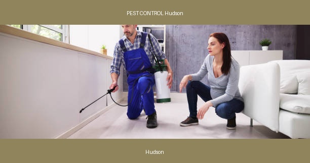 PEST CONTROL Hudson
